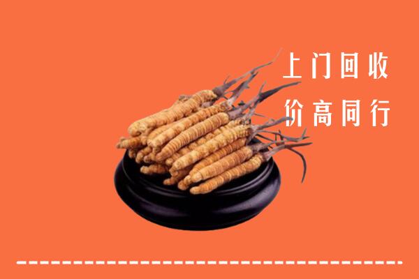 高价求购：毕节市回收散虫草
