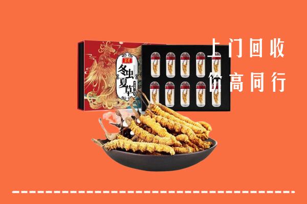 毕节市回收虫草